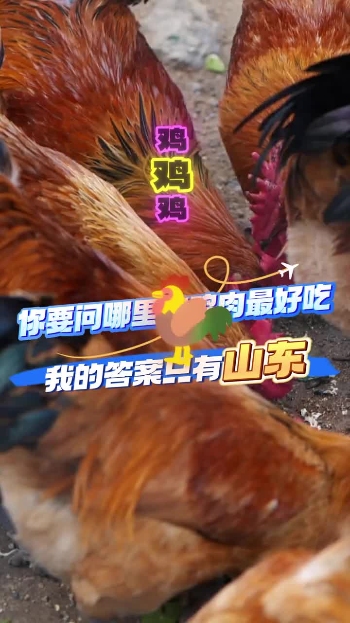 你要问哪里的鸡肉最好吃我的答案只有山东