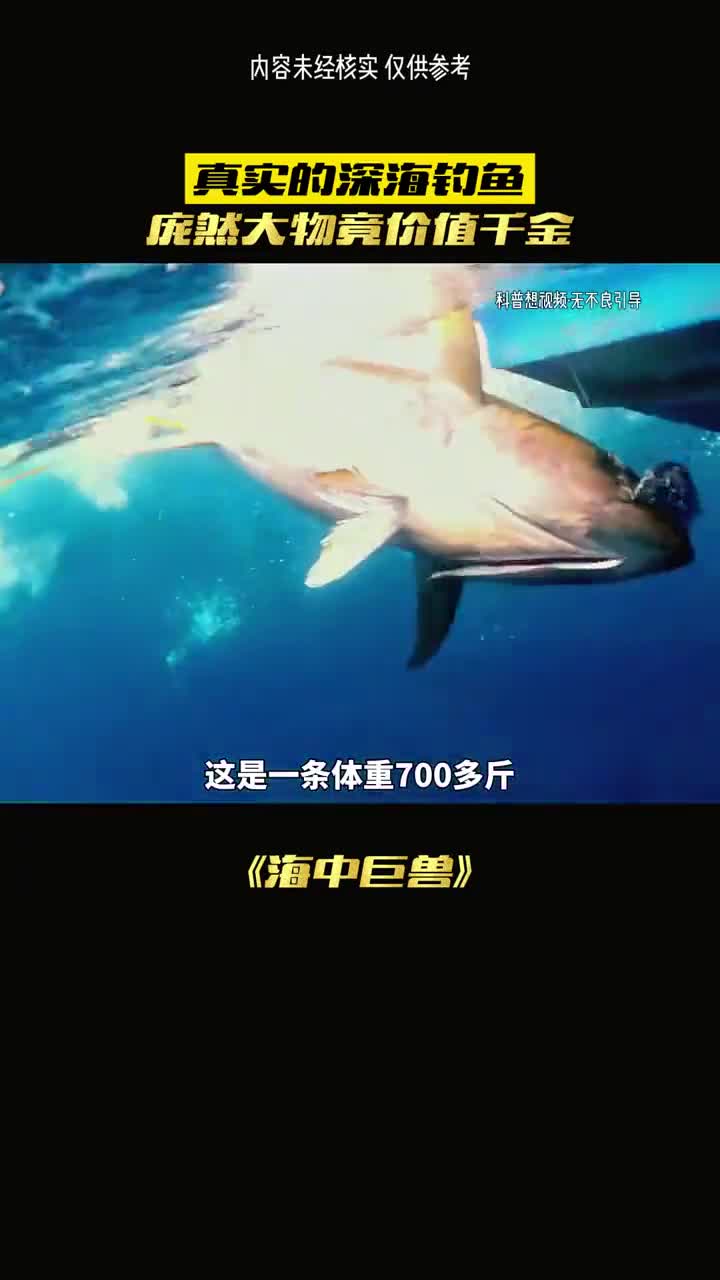 眼前千万的金枪鱼为何被人屠杀