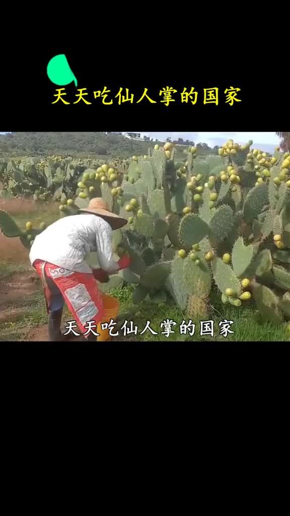 你知道哪些食物是我们常吃但老外不敢尝试的吗