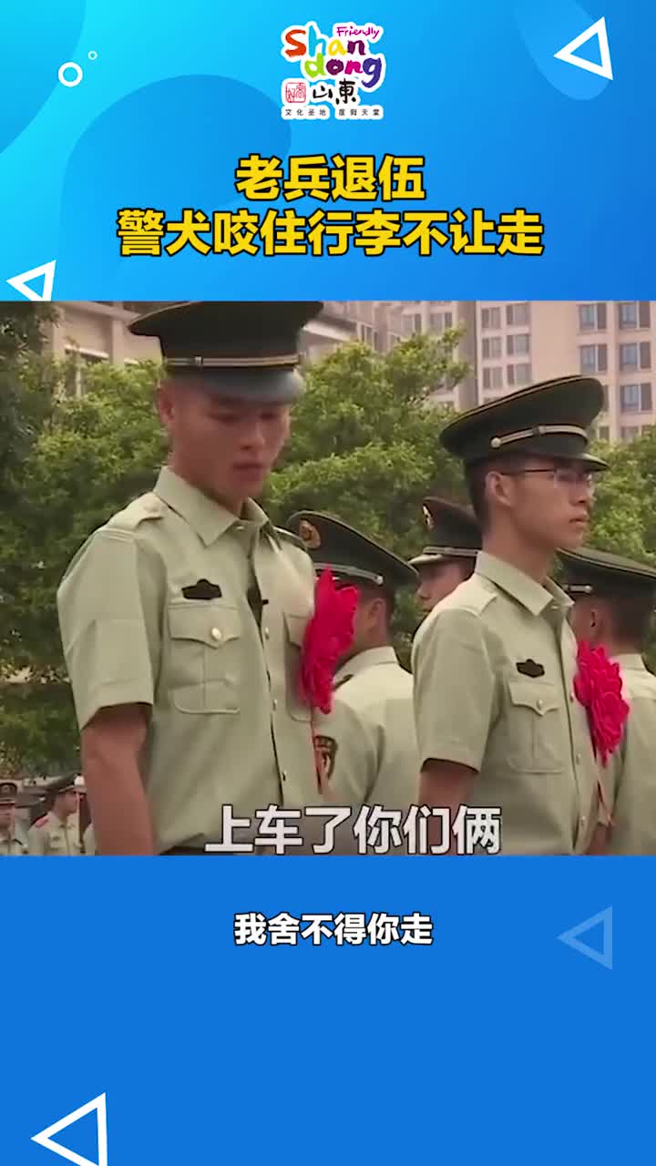 不想说再见分别并不是人类的专利