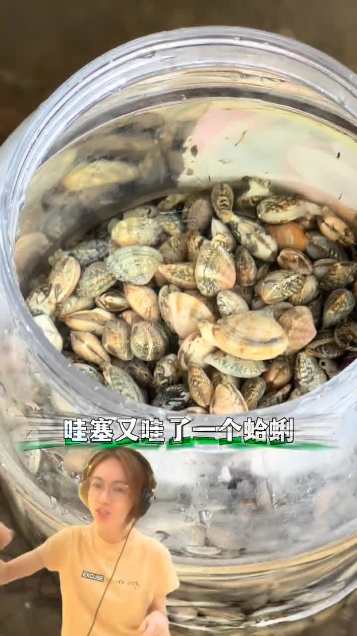 哇塞又挖了一个蛤蜊挖蛤蜊出现人传人现象跟着
