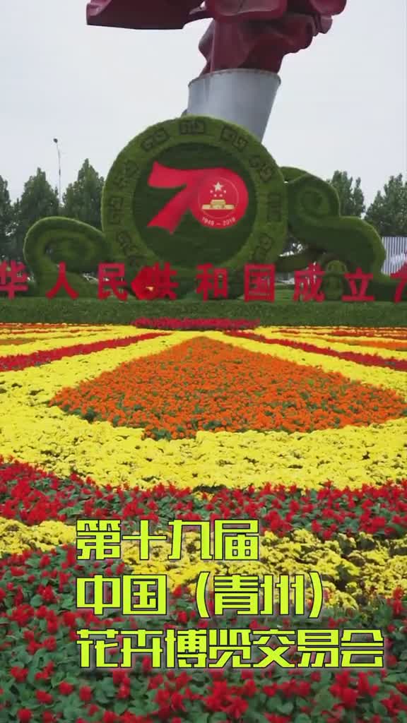 喜欢花吗中国青州花博会邀您畅游花海letsgo