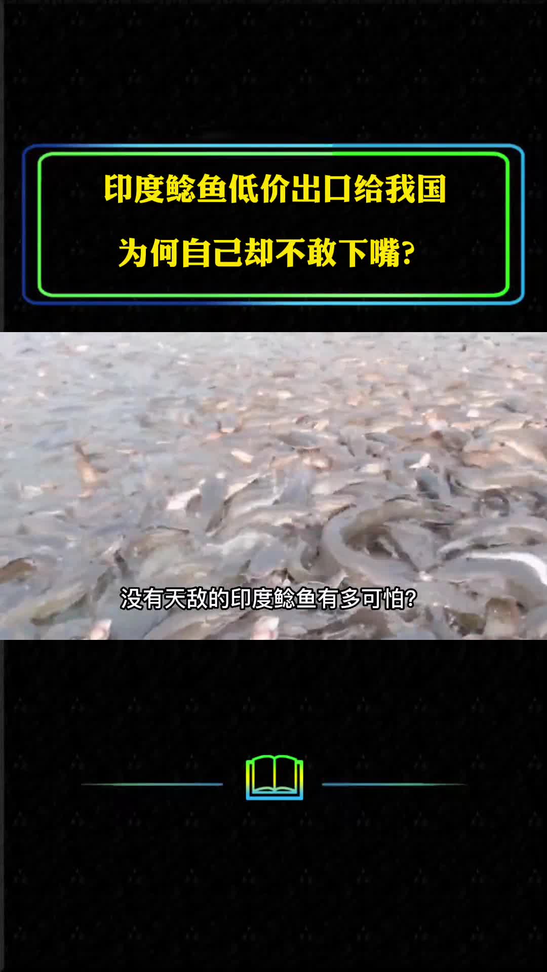 印度鲶鱼大丰收低价出口给我国为何自己却不敢下嘴