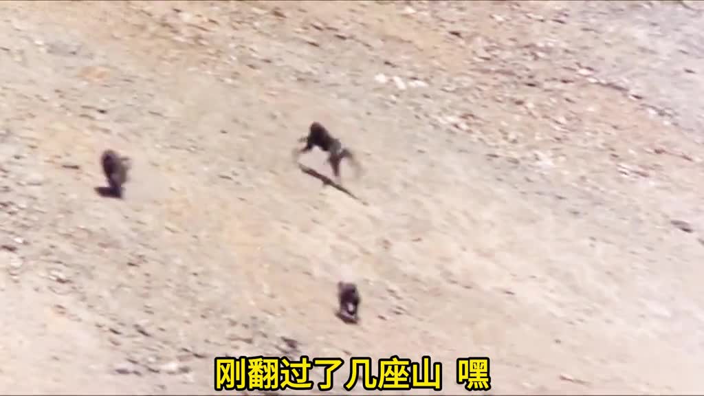 你不醉我不醉马路大街谁去睡