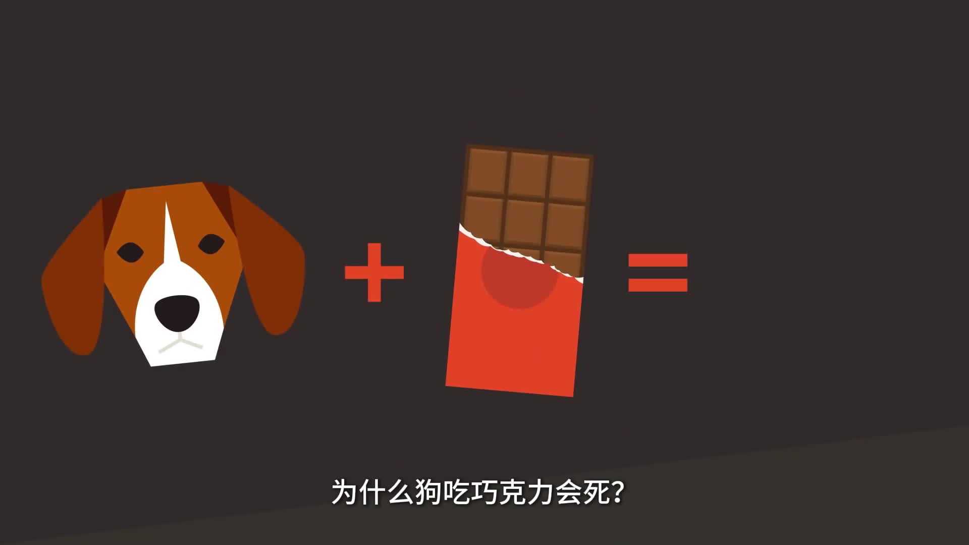 为什么狗不能吃巧克力如果不小心吃了会怎么样