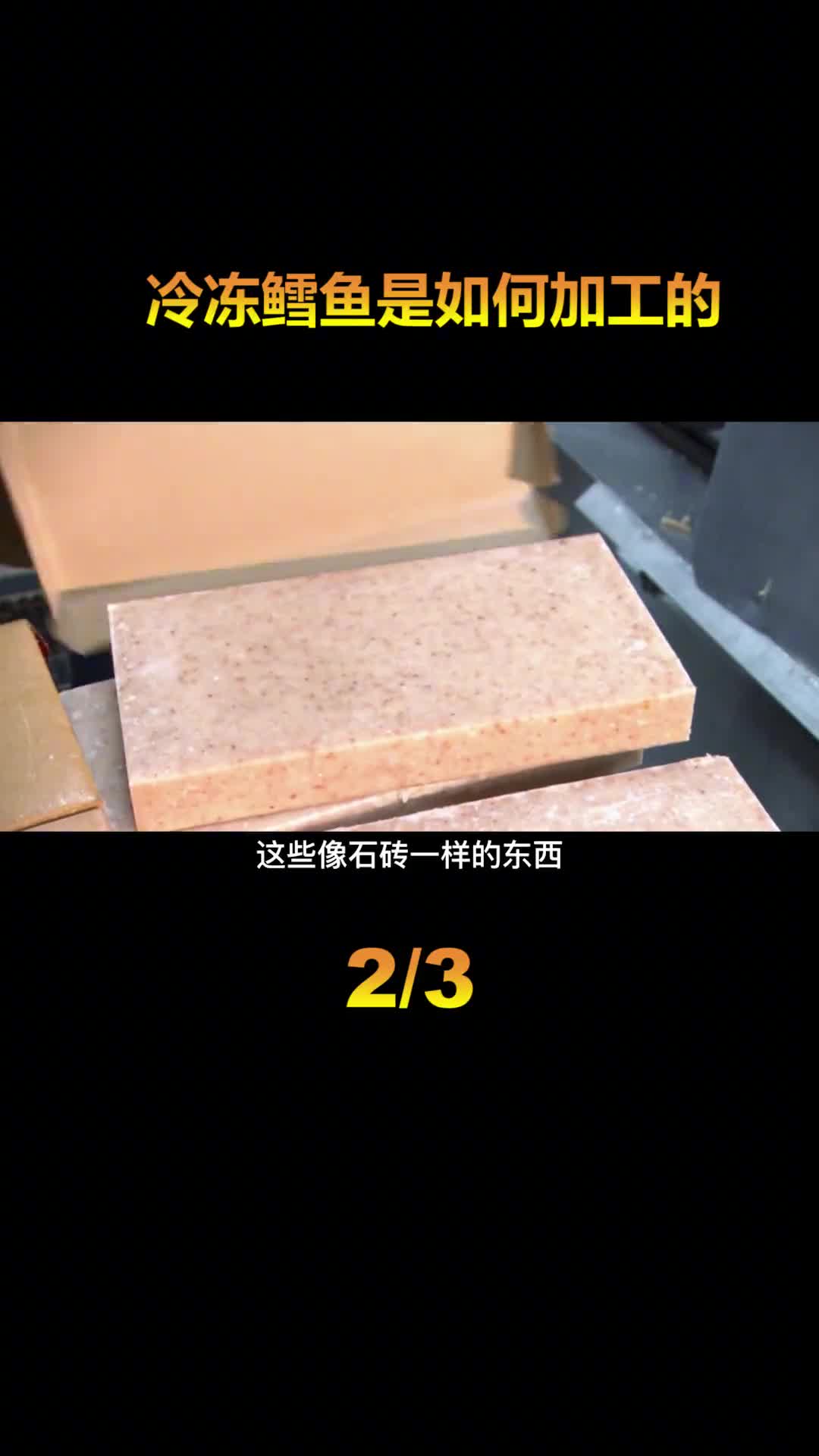 中国每年进口数万吨的冷冻鳕鱼原来是这样生产的