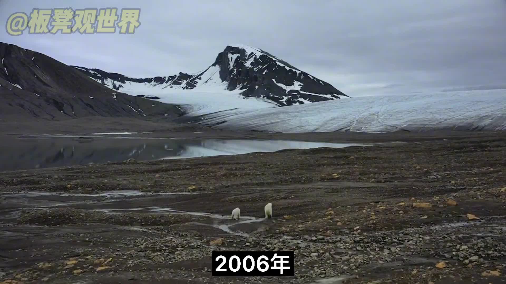 杂交物种时代来了