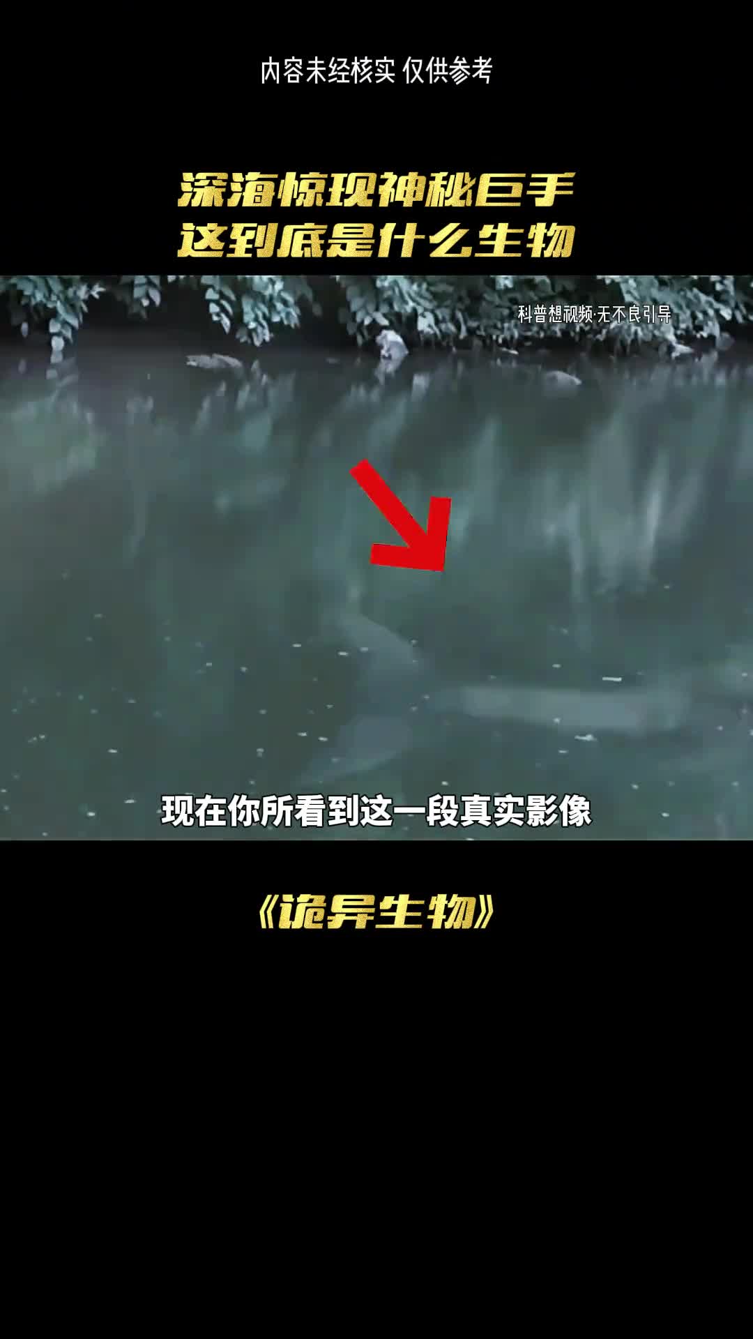 鲛人真的存在吗