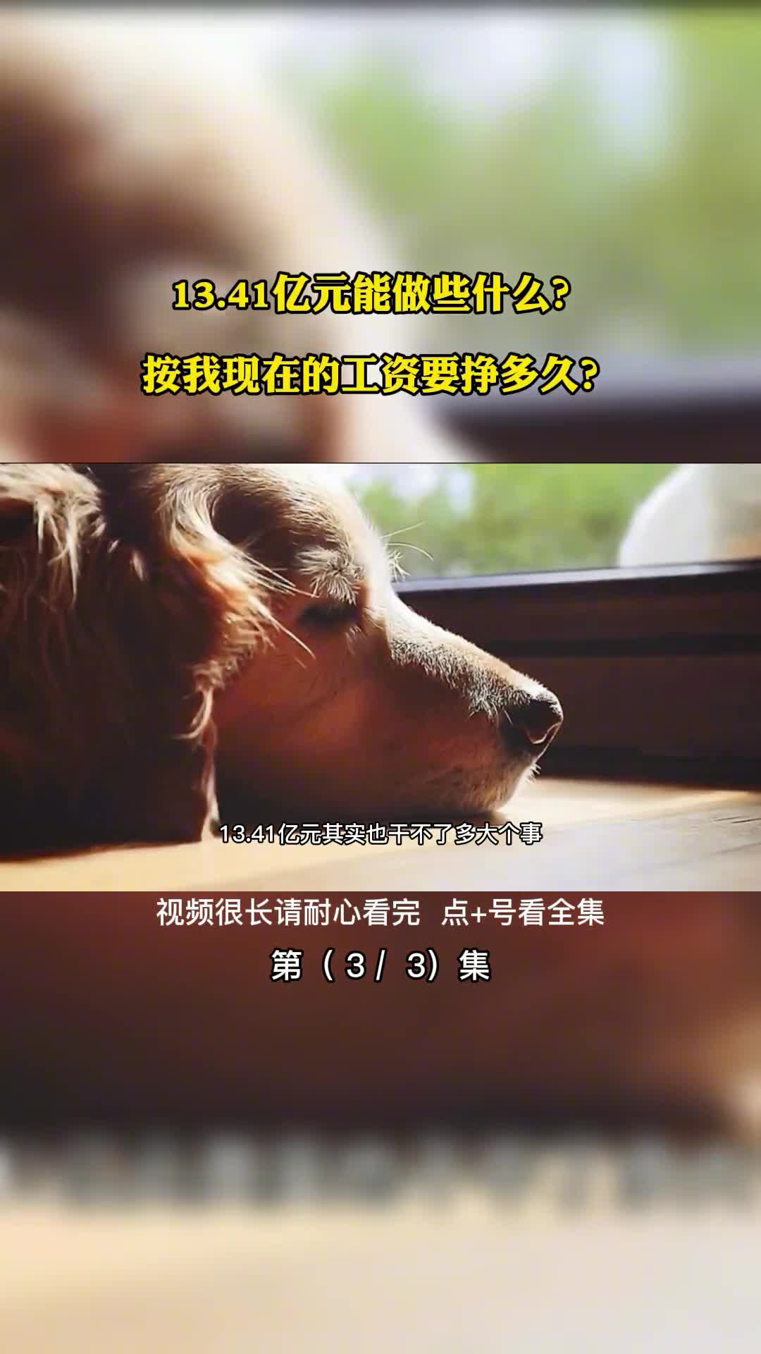 1341亿元能做些什么按我现在的工资要挣多久