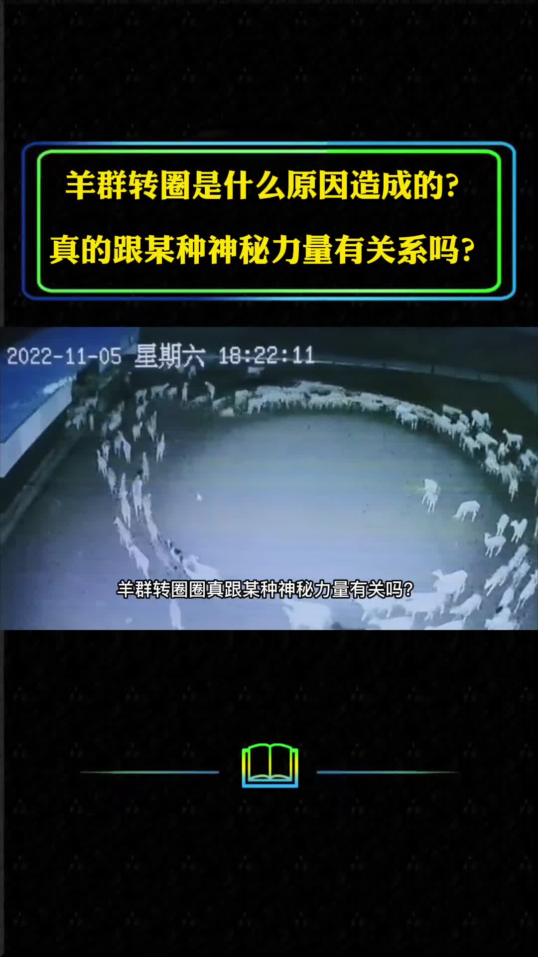 羊群转圈是什么原因造成的真跟某种神秘力量有关系吗