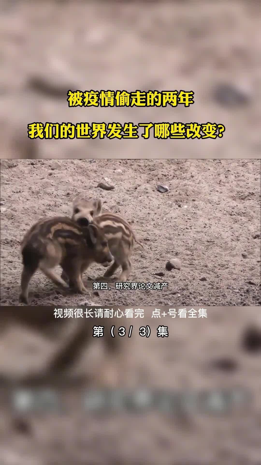 被疫情偷走的两年我们的世界发生了哪些改变