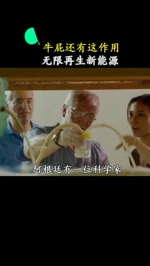 以后家里养一头牛一年都不用燃气啦