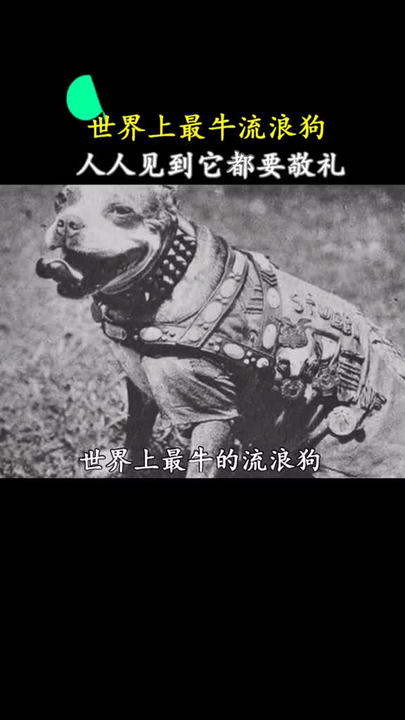 他肯定是没有喝孟婆给的汤