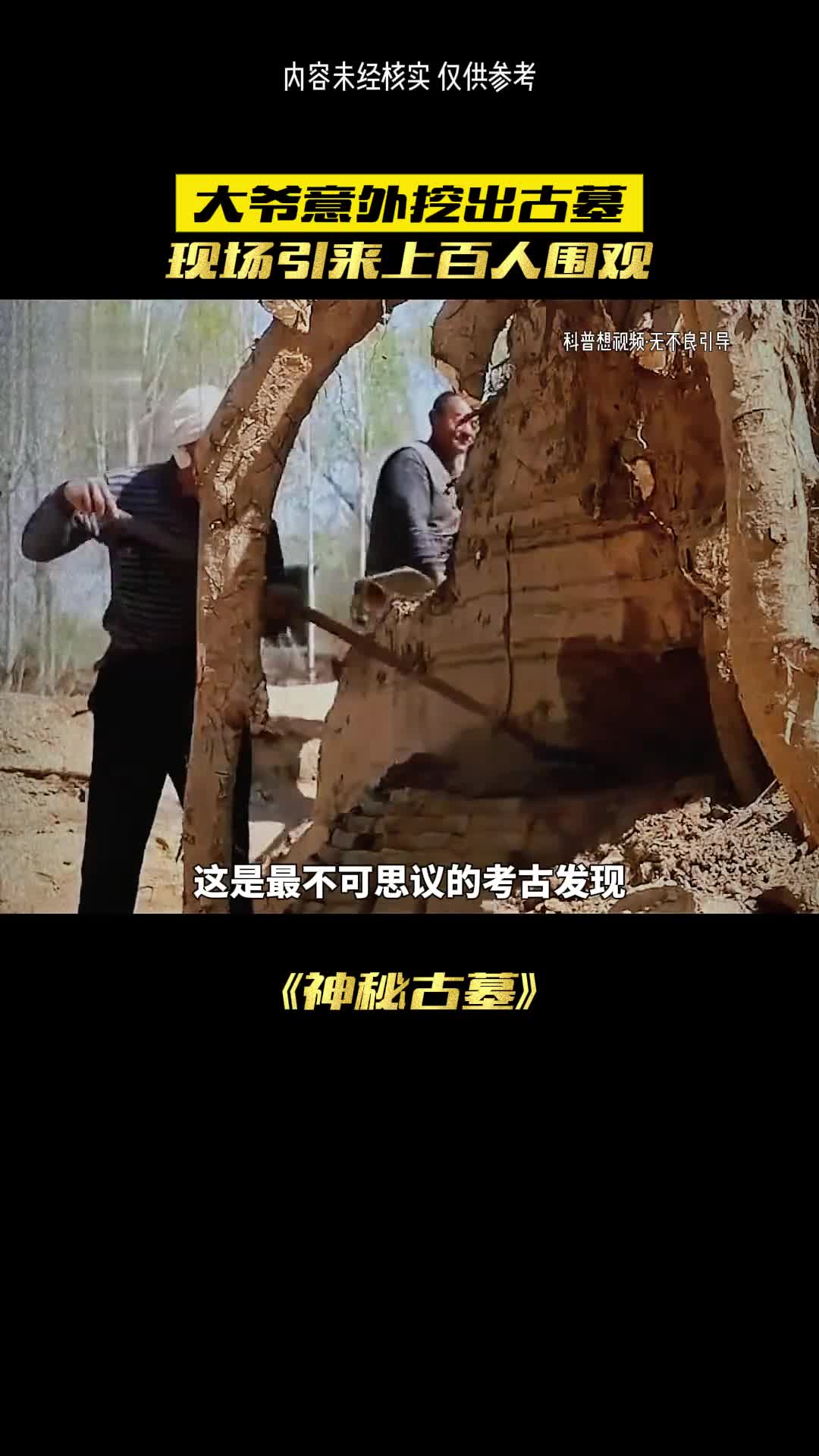 大树根下的古墓到底发现了啥