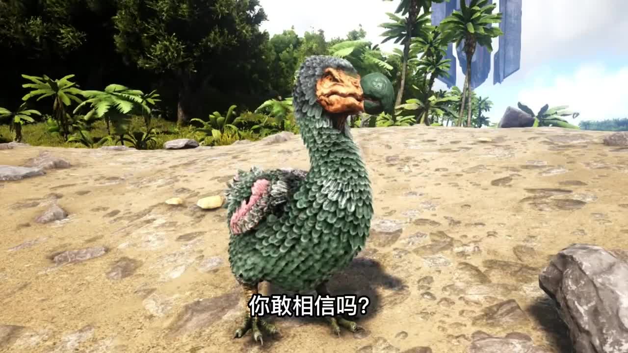 美国为何选择复活渡渡鸟这种鸟有何神奇之处