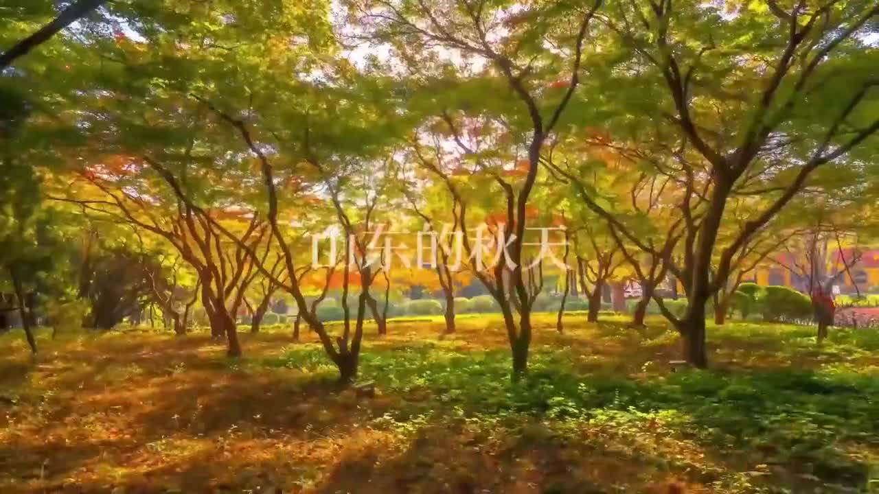 周末去哪玩秋季来山东登高不负秋色不负卿这个周末一起探索山东的山脉吧感受秋高气爽层林尽染