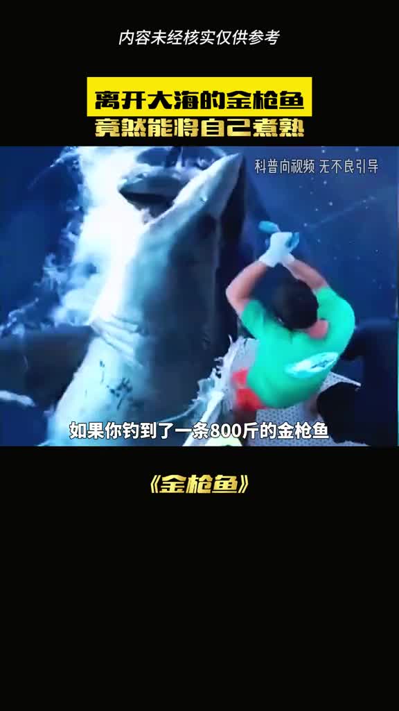 金枪鱼到底有多神秘