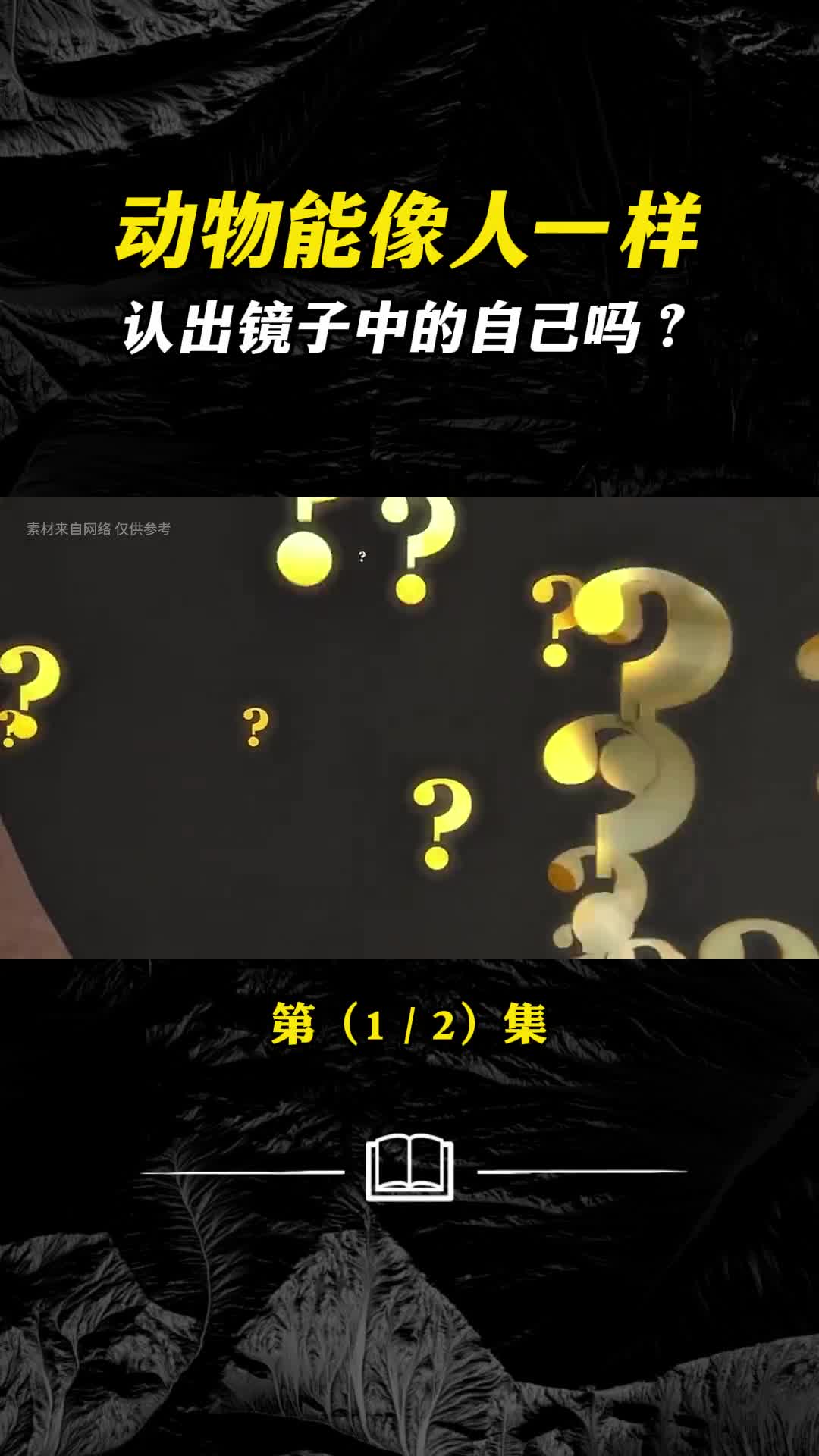 动物能像人一样认出镜子中的自己吗