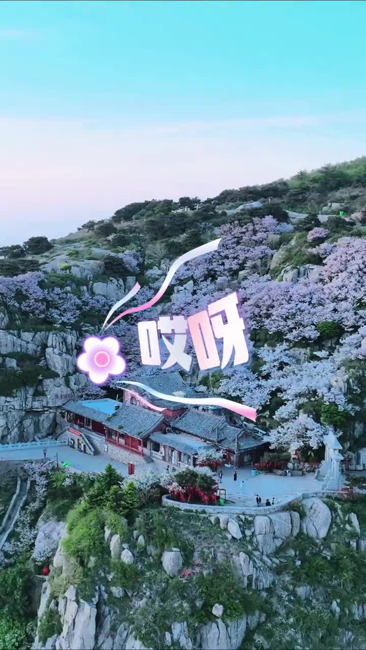 在泰山之巅看海棠花海摄影天下看世界