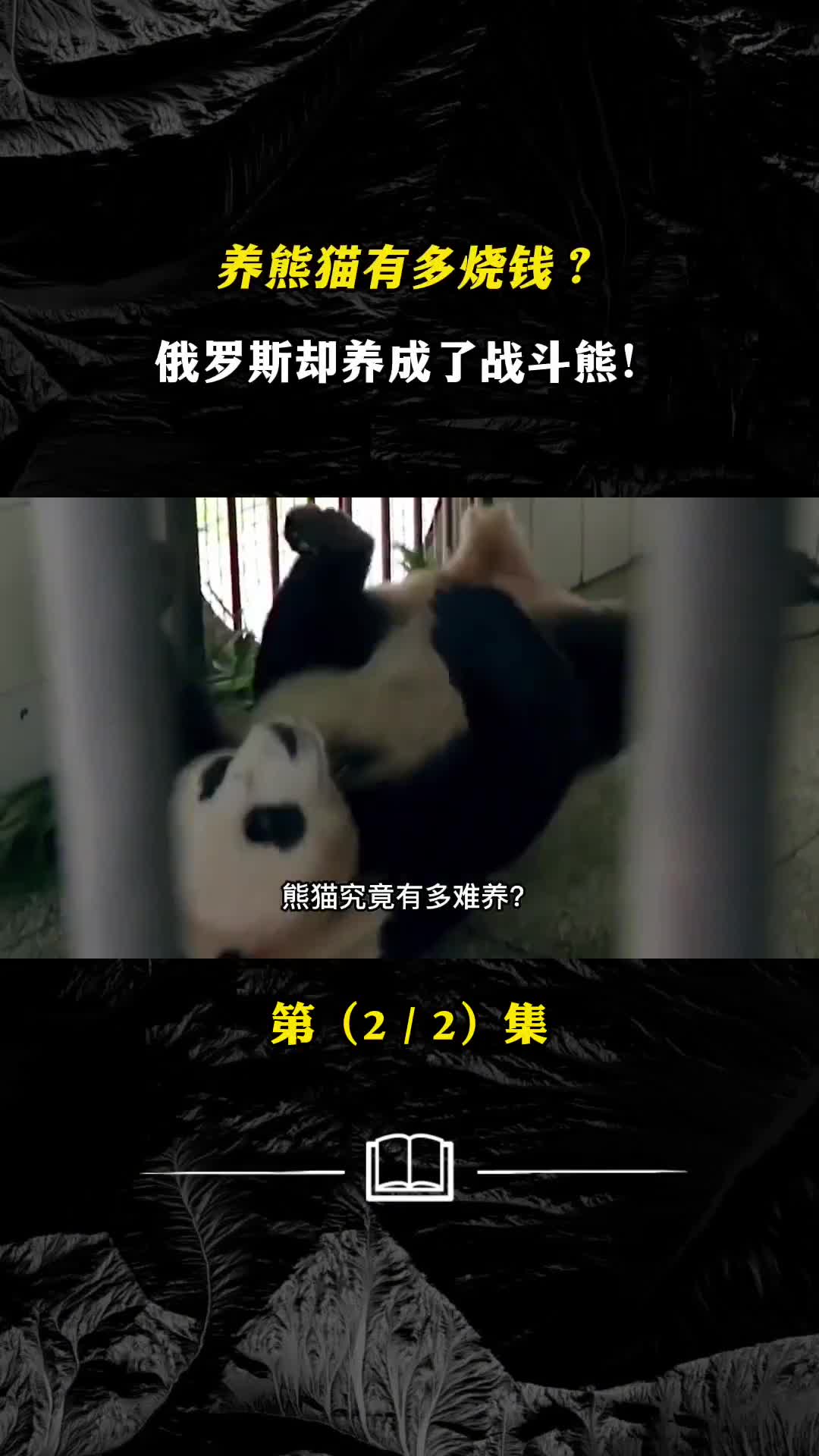 养熊猫有多烧钱加拿大养不起退货俄罗斯却养成了战斗熊