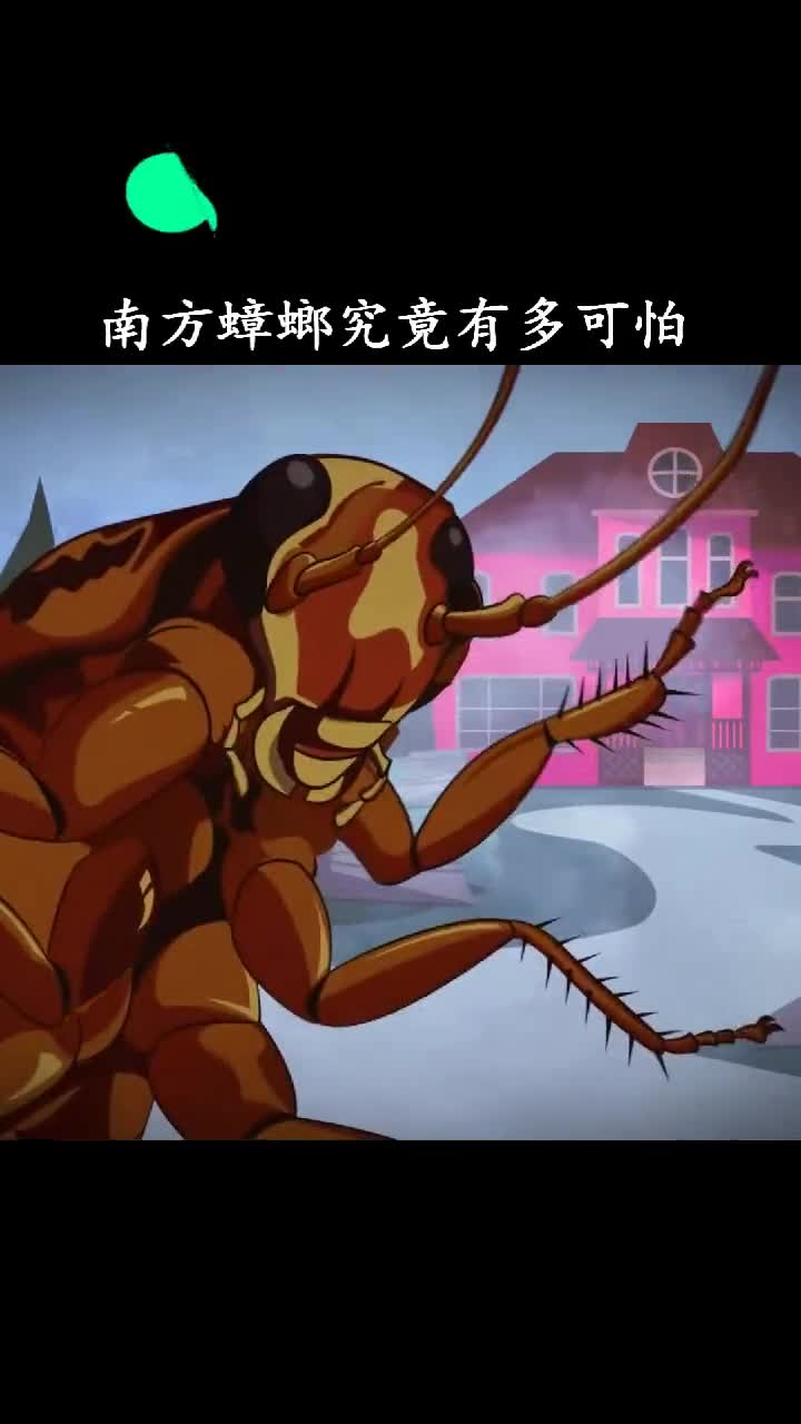 北方大汉见到南方蟑螂会是什么反应