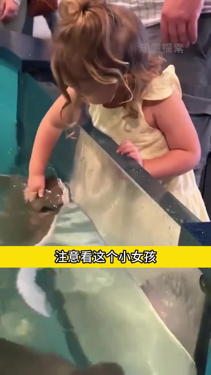 动物也能感知婴儿的存在