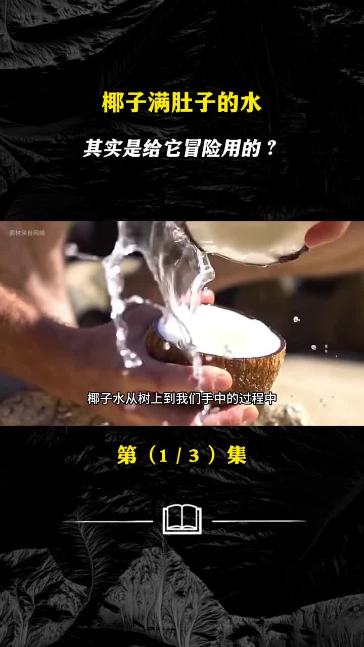 没想到吧椰子满肚子的水其实不是给人喝的