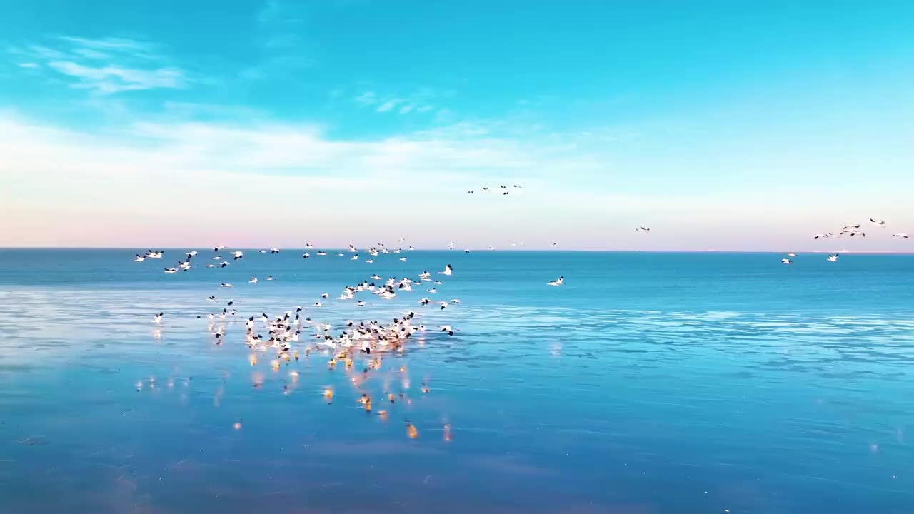 如果让你用一个颜色来代表山东你会选择什么颜色