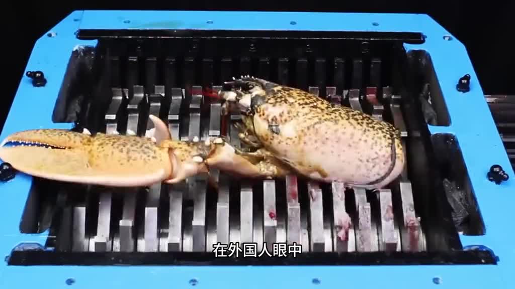 芥末味的夏威夷果原来这么好吃口口酥脆的夏威夷果搭配上清新的芥末粉越吃越上头