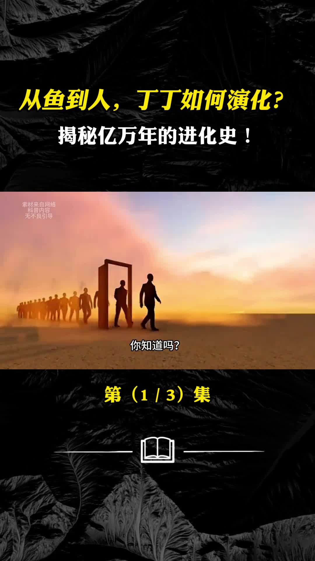 鸭子丁丁逆天设计揭秘动物丁丁的奇葩进化史