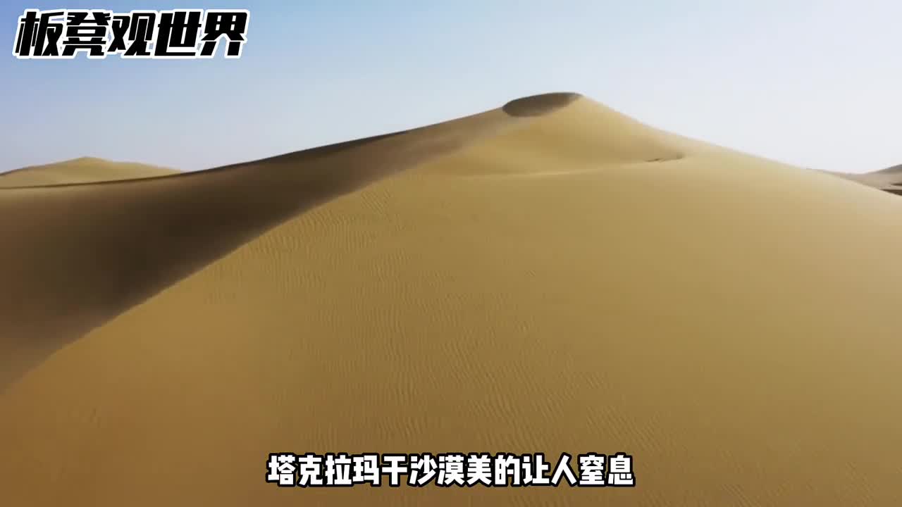 沙漠植物艰难的生存之道