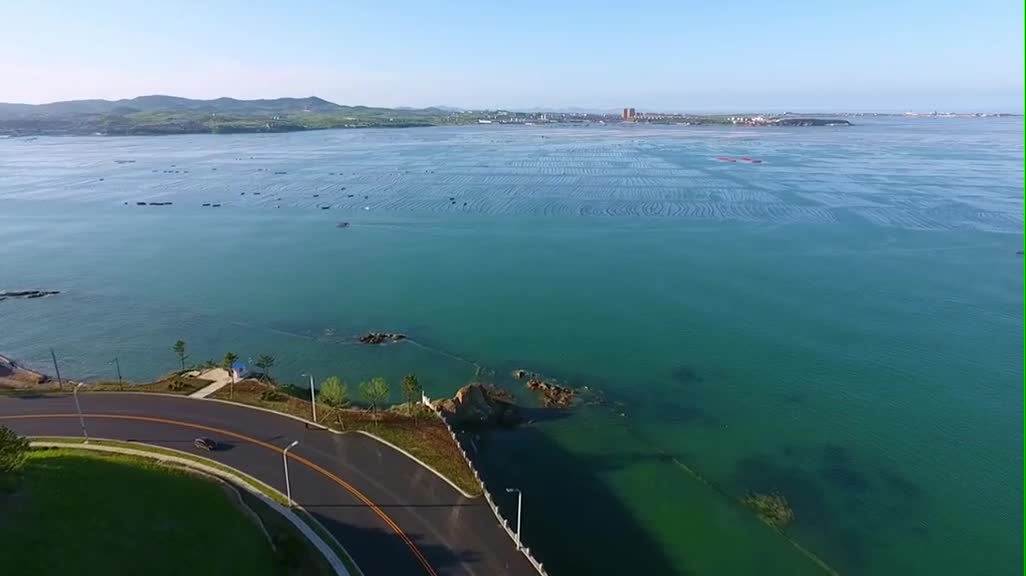 今天终于对荣成的海洋牧场下手了一起来采扇贝逗河豚啊