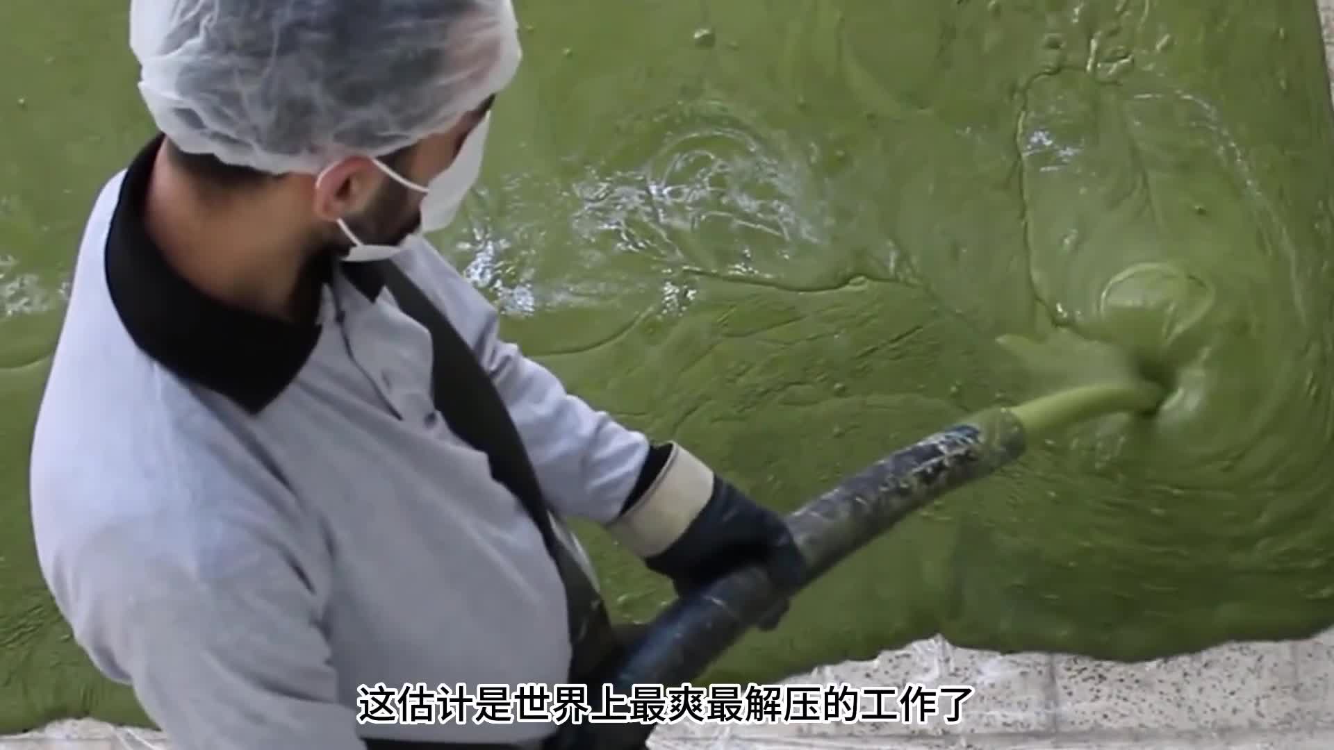 拥有数百年历史虽然常年战争但是这项产品依然保留了下来如果你皮肤敏感经常冒痘不妨试试看可能会有意想不到的效果