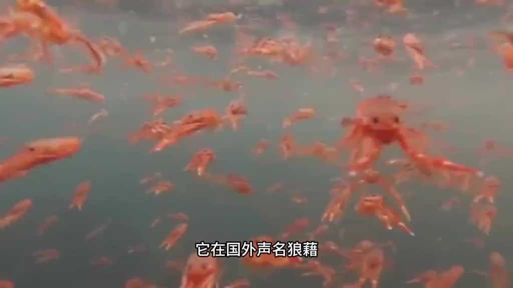 新年就该吃得像麻辣龙虾尾一样开心一口一个简直太爽了