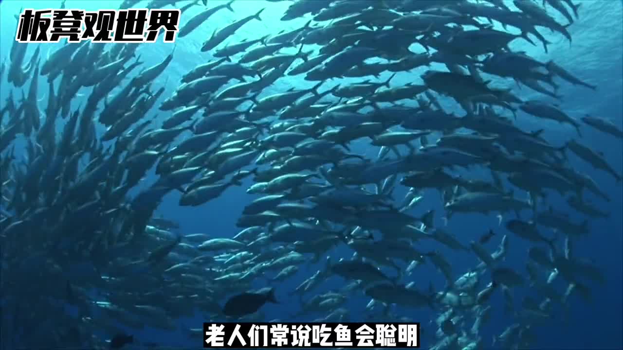 深海鱼油到底是干嘛的