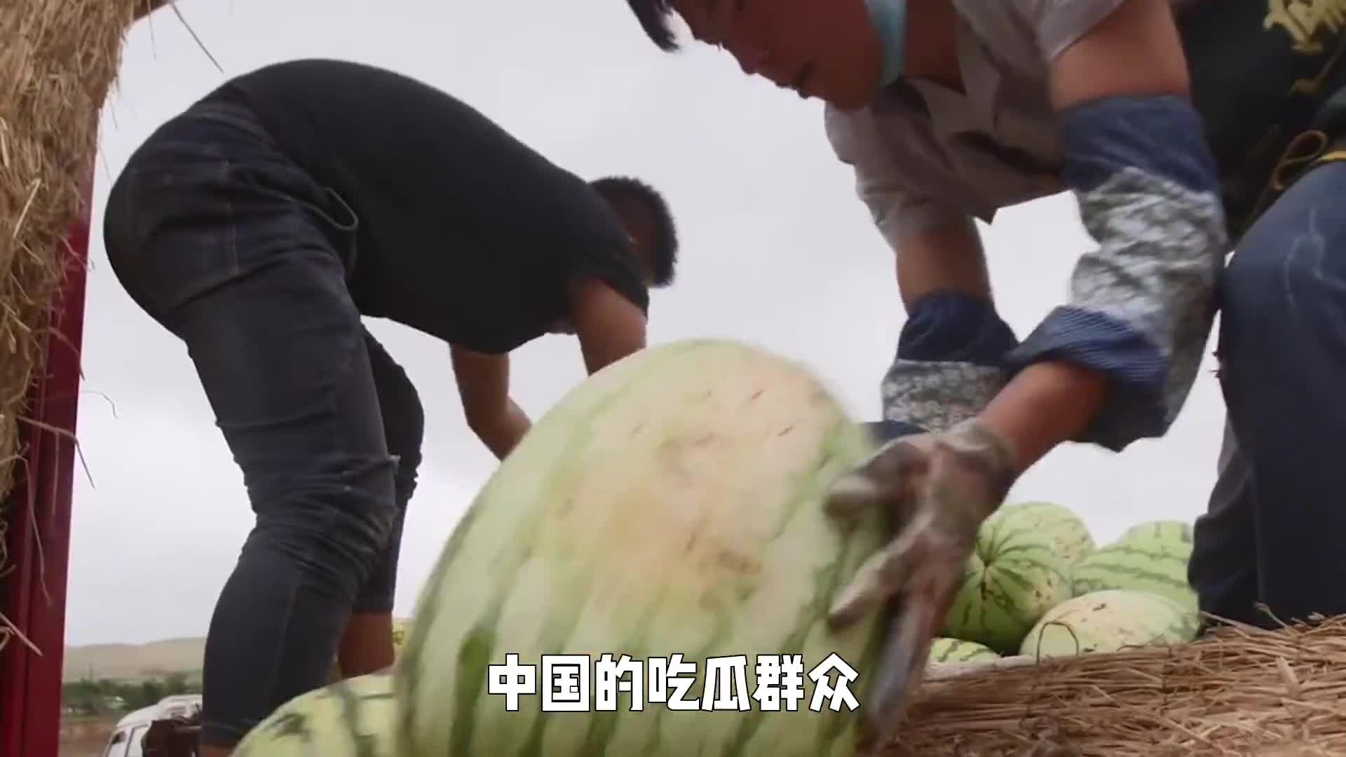 太空如何培育西瓜