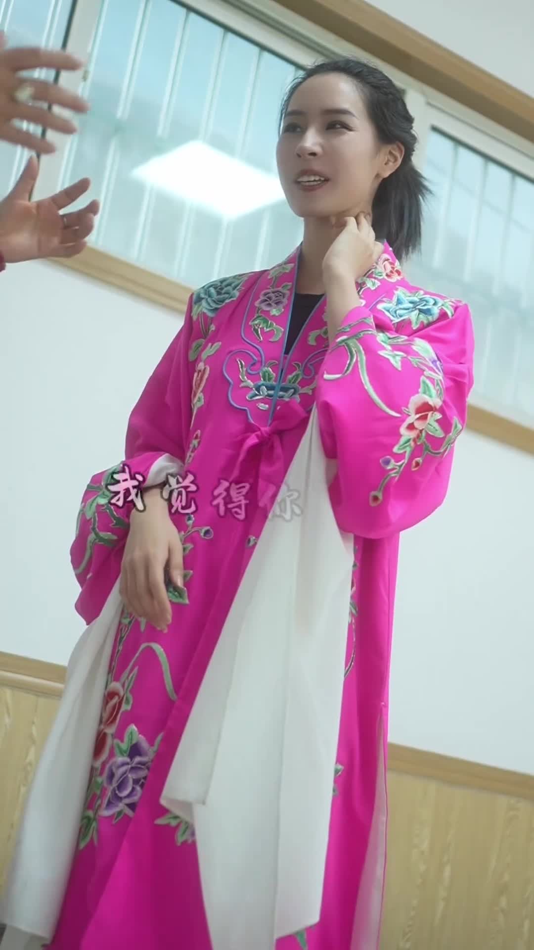 体验非遗文化之滕州柳琴戏视频由你花花宝贝供稿