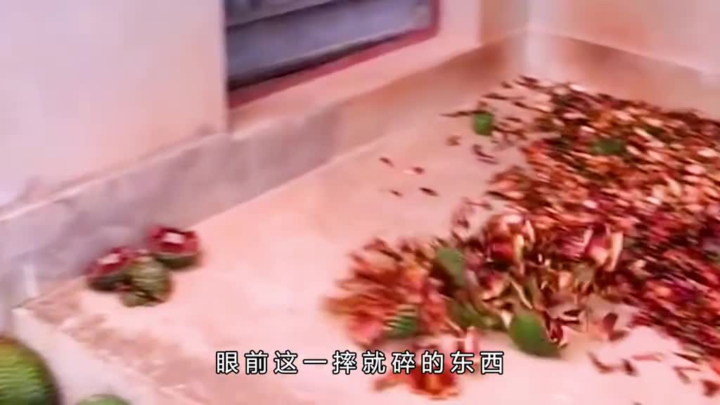 你知道巴拉那松子吗