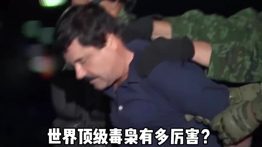 那些大佬毒枭们势力有多嚣张