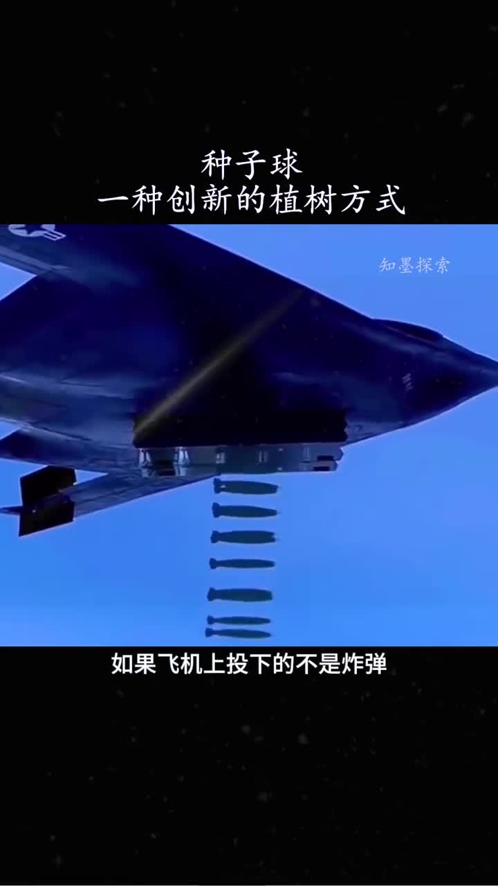 种子球一种新型植树方法