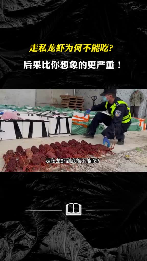 警方查获2吨走私龙虾比人的胳膊还粗走私龙虾能吃吗