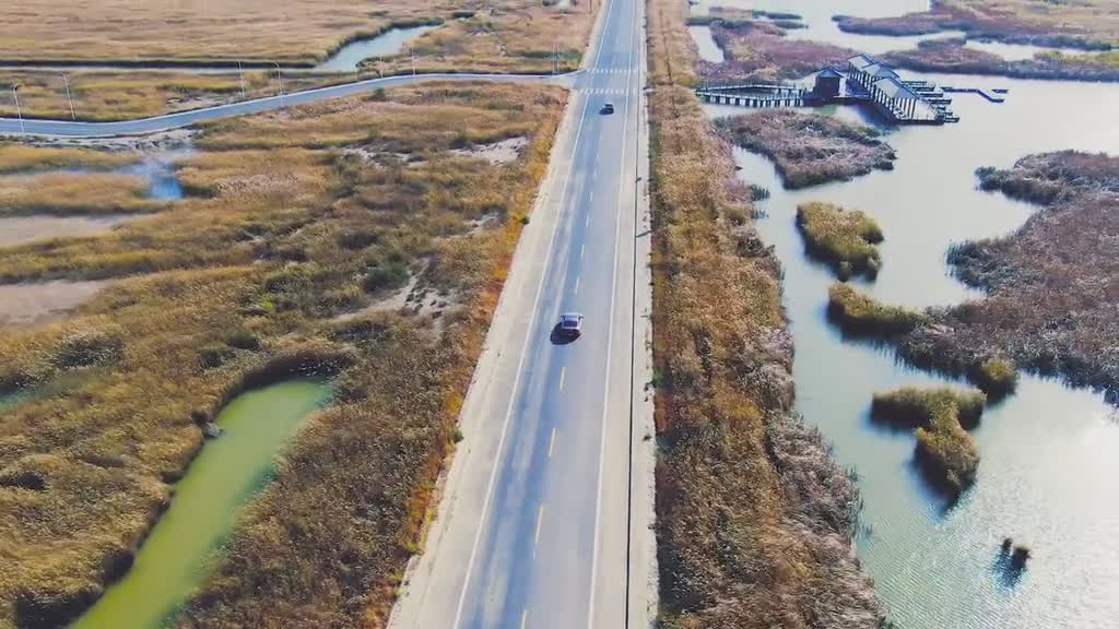 在东营有一条长长的芦苇荡公路沿着这条公路驱车一路向东便可一睹黄河入海流的壮美奇景