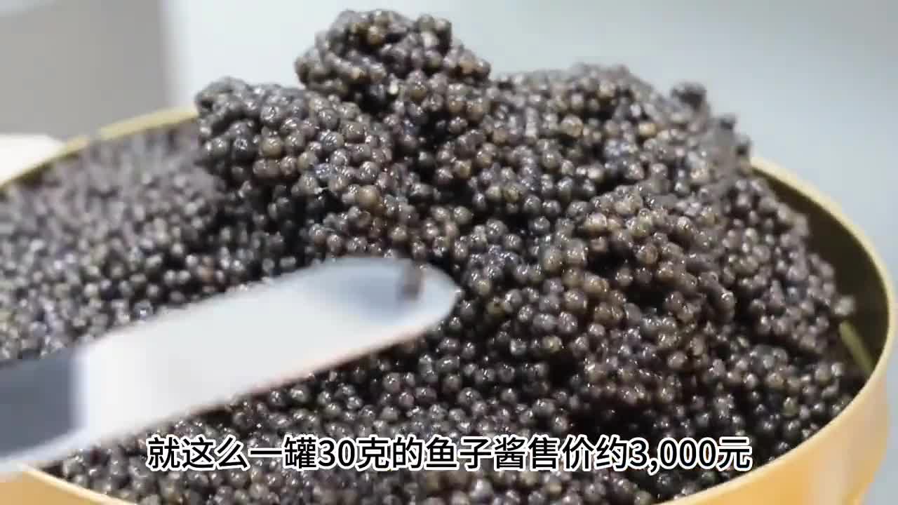 鱼子酱你吃过吗