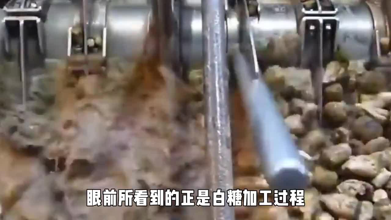1分钟看懂白糖制作全过程没想到还要加入石灰乳
