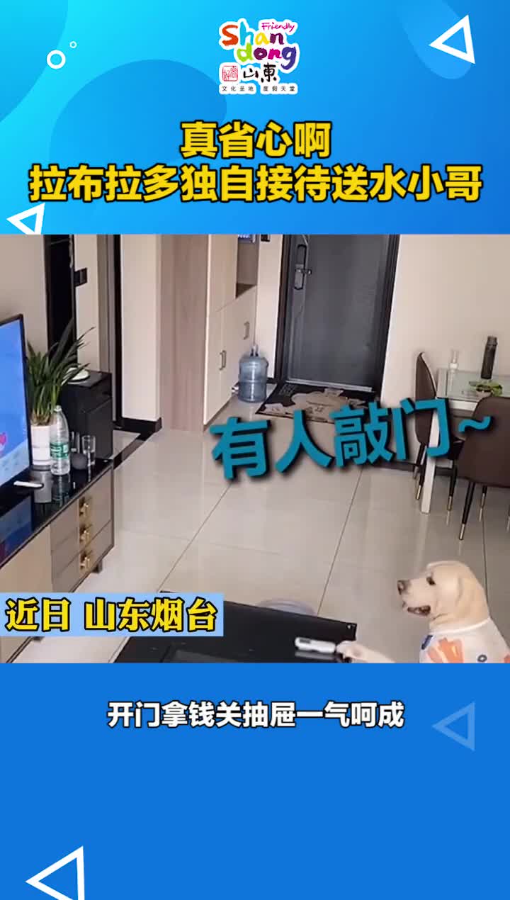 又是别人家的