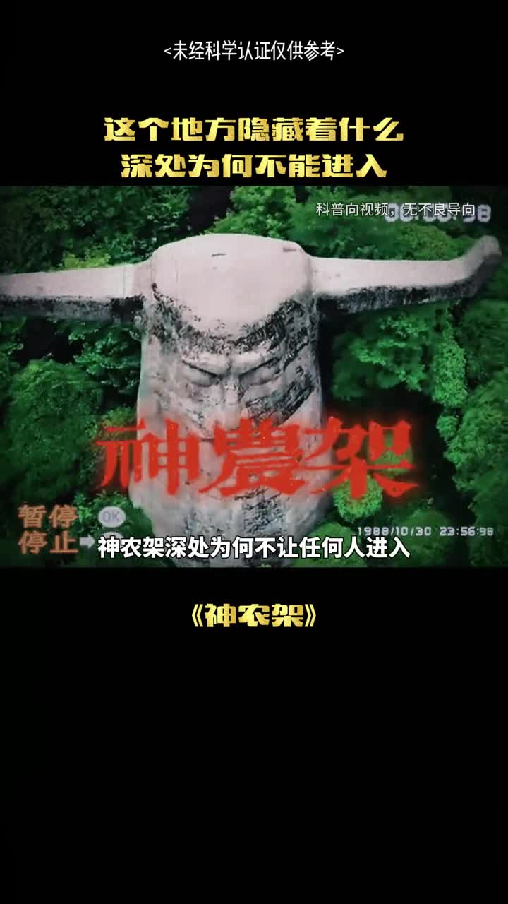 神农架深处到底隐藏着什么东西