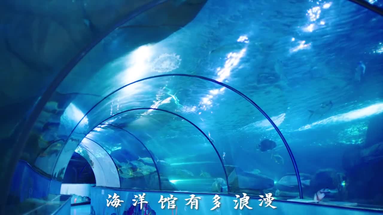 因为人间值得想陪你去看海底万里