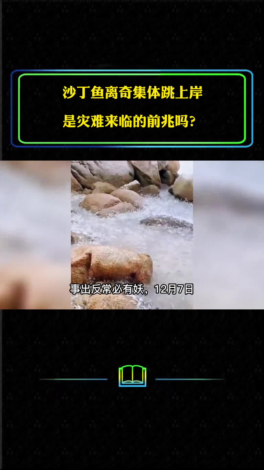 沙丁鱼集体跳上岸是灾难来临的前兆吗鱼为什么跳出水面