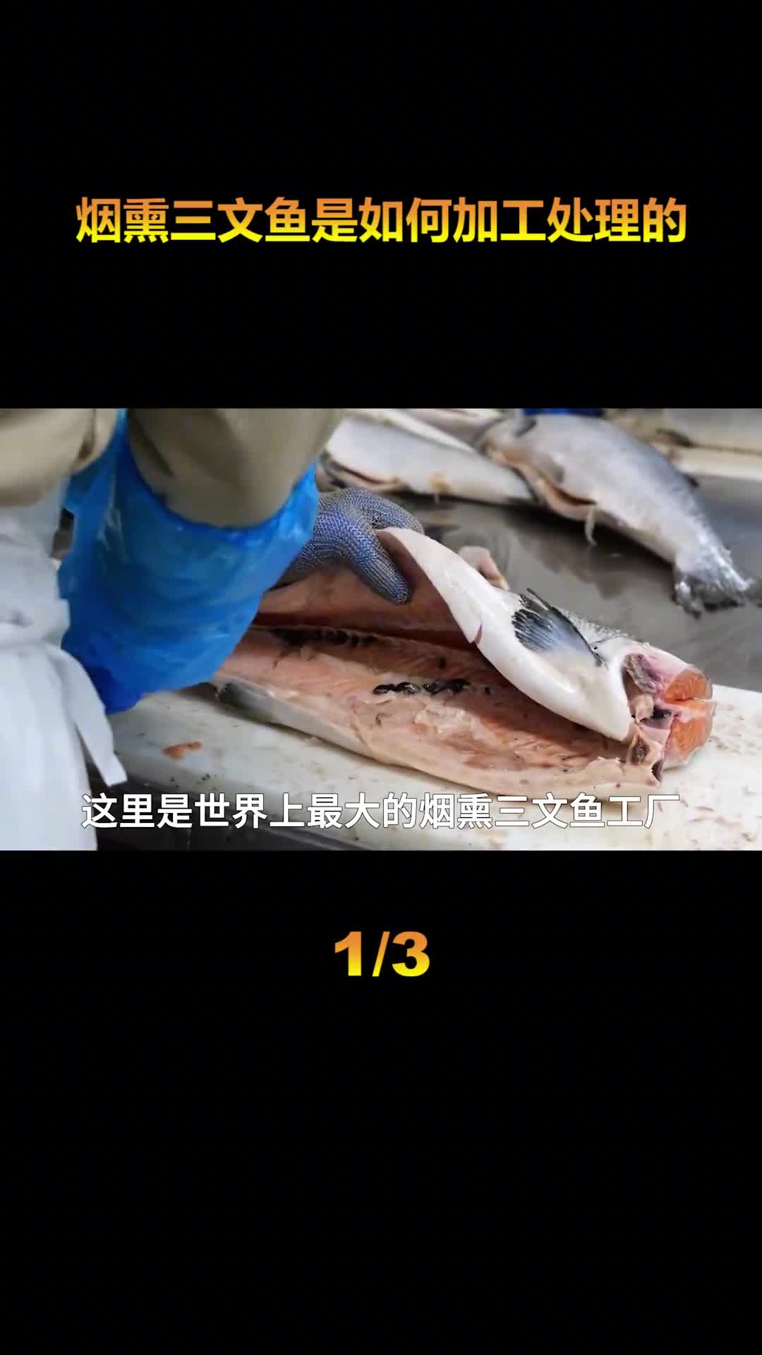 世界上最大的烟熏三文鱼工厂每天能向市场输送100吨的优质三文鱼