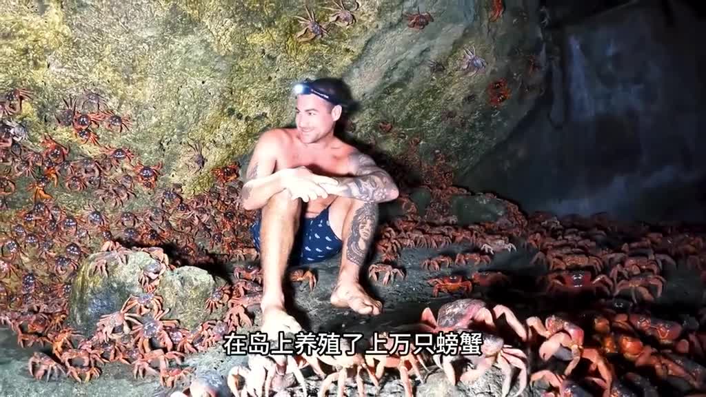 年夜饭怎么少得了海鲜顿顿飞禽走兽不如一口来帝王蟹腿肉